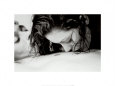 Tender Kiss
