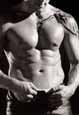 Male Torso